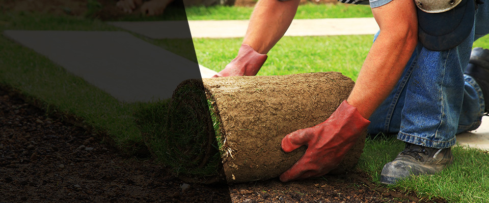 Red Bank Landscapers